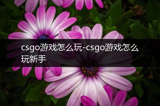 csgo游戏怎么玩-csgo游戏怎么玩新手