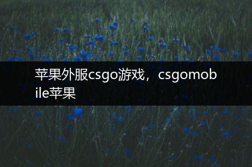 苹果外服csgo游戏，csgomobile苹果