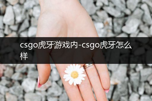 csgo虎牙游戏内-csgo虎牙怎么样