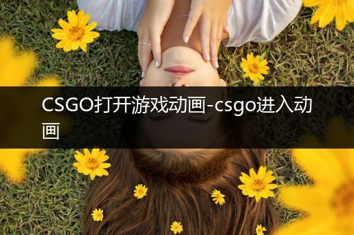 CSGO打开游戏动画-csgo进入动画