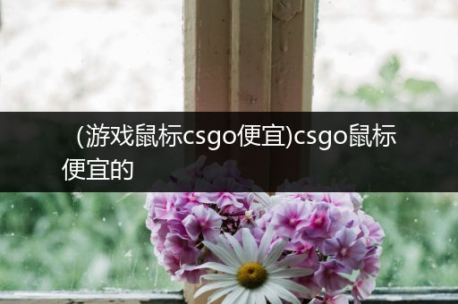 （游戏鼠标csgo便宜)csgo鼠标便宜的