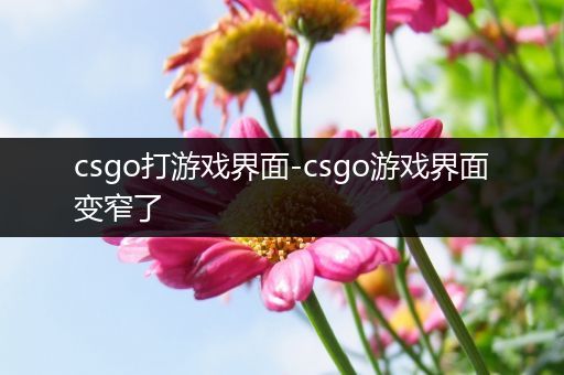 csgo打游戏界面-csgo游戏界面变窄了