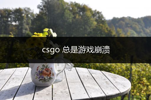 csgo 总是游戏崩溃