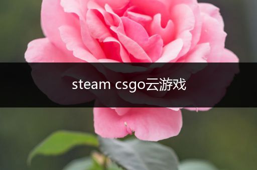 steam csgo云游戏