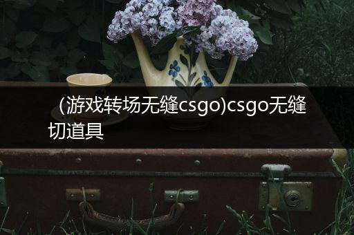 （游戏转场无缝csgo)csgo无缝切道具