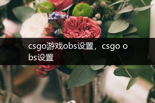 csgo游戏obs设置，csgo obs设置