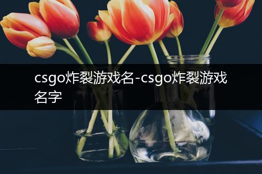 csgo炸裂游戏名-csgo炸裂游戏名字