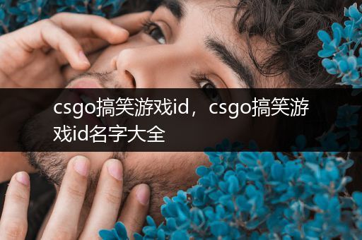 csgo搞笑游戏id，csgo搞笑游戏id名字大全