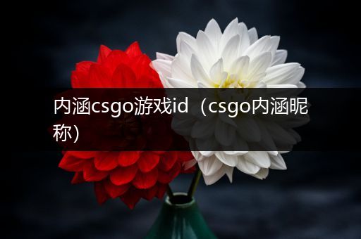 内涵csgo游戏id（csgo内涵昵称）