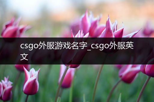 csgo外服游戏名字_csgo外服英文