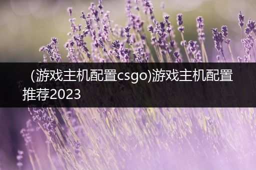 （游戏主机配置csgo)游戏主机配置推荐2023