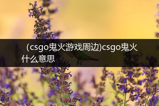 （csgo鬼火游戏周边)csgo鬼火什么意思