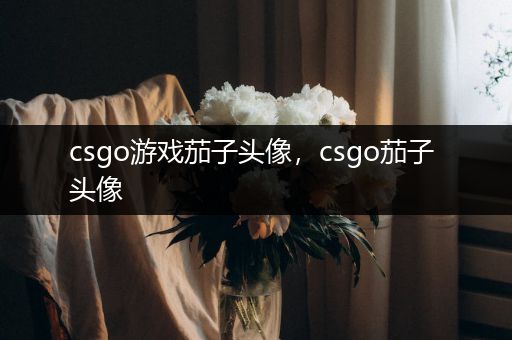 csgo游戏茄子头像，csgo茄子 头像