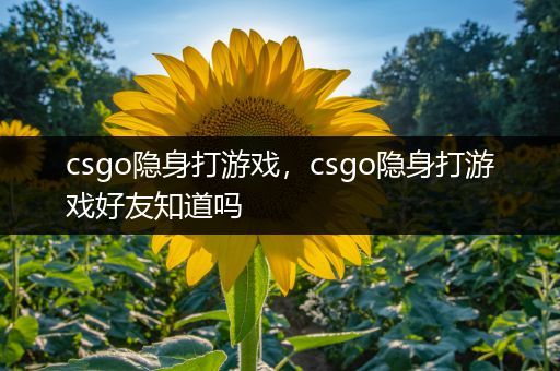 csgo隐身打游戏，csgo隐身打游戏好友知道吗