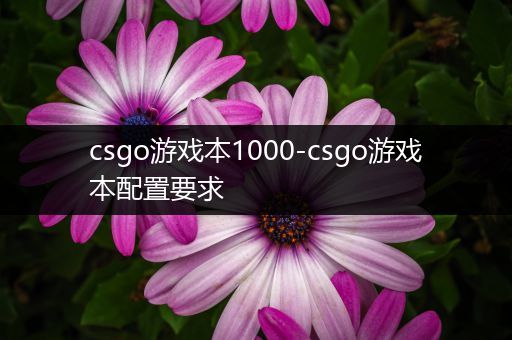 csgo游戏本1000-csgo游戏本配置要求