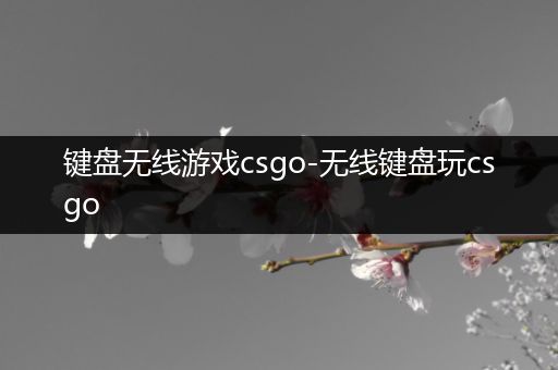 键盘无线游戏csgo-无线键盘玩csgo