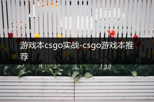 游戏本csgo实战-csgo游戏本推荐