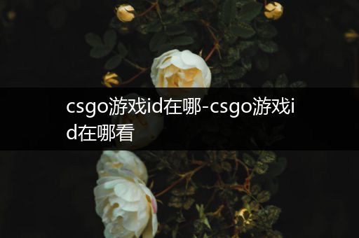 csgo游戏id在哪-csgo游戏id在哪看