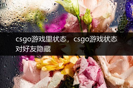 csgo游戏里状态，csgo游戏状态对好友隐藏