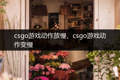 csgo游戏动作放慢，csgo游戏动作变慢