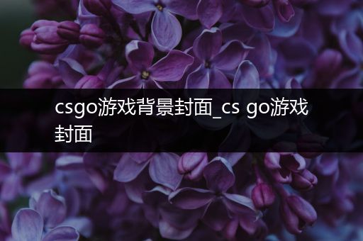 csgo游戏背景封面_cs go游戏封面