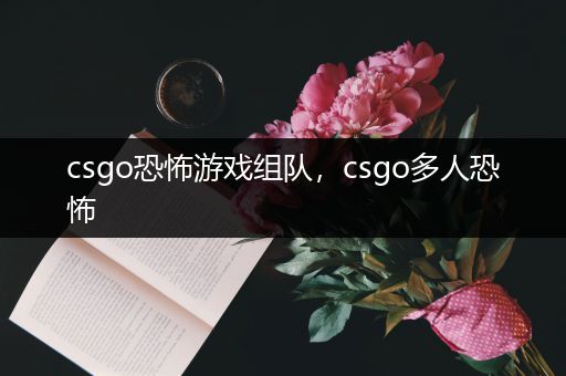 csgo恐怖游戏组队，csgo多人恐怖