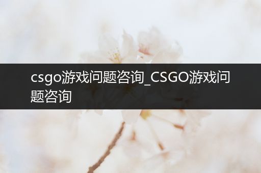 csgo游戏问题咨询_CSGO游戏问题咨询