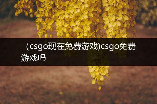 （csgo现在免费游戏)csgo免费游戏吗