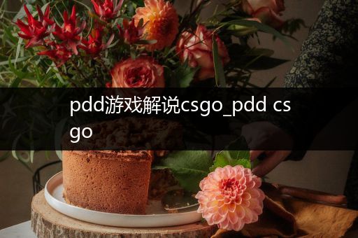 pdd游戏解说csgo_pdd csgo