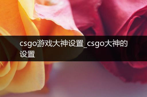 csgo游戏大神设置_csgo大神的设置