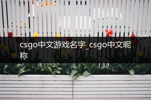 csgo中文游戏名字_csgo中文昵称