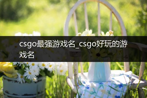 csgo最强游戏名_csgo好玩的游戏名