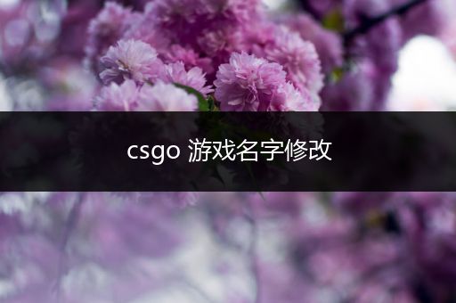 csgo 游戏名字修改