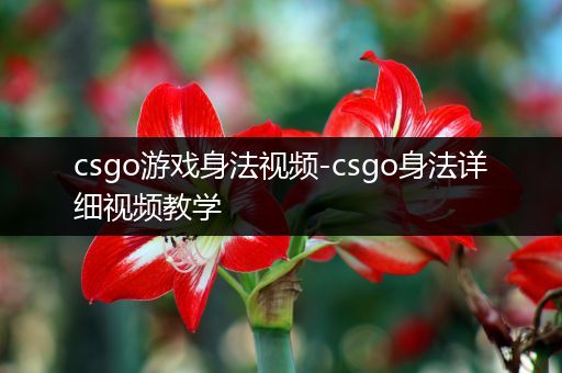 csgo游戏身法视频-csgo身法详细视频教学