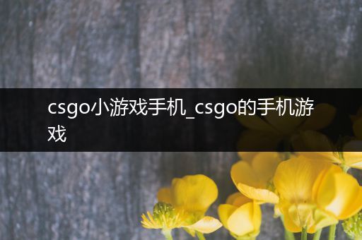 csgo小游戏手机_csgo的手机游戏