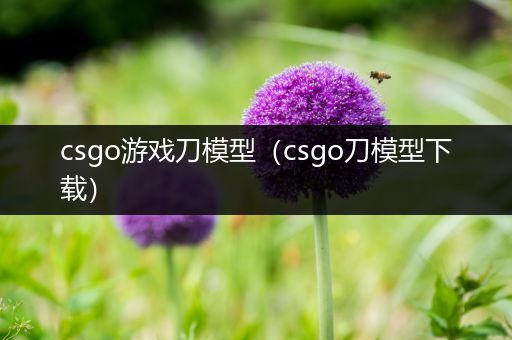 csgo游戏刀模型（csgo刀模型下载）