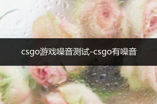 csgo游戏噪音测试-csgo有噪音