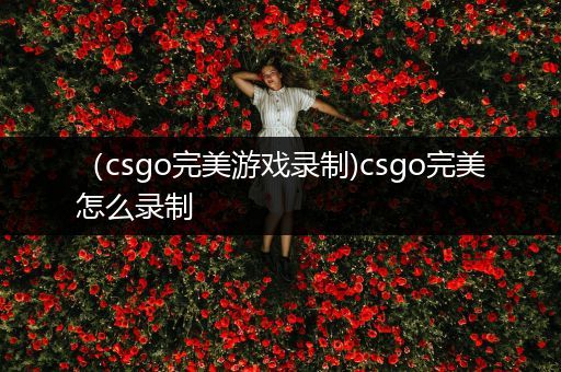 （csgo完美游戏录制)csgo完美怎么录制