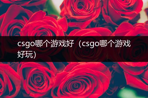 csgo哪个游戏好（csgo哪个游戏好玩）