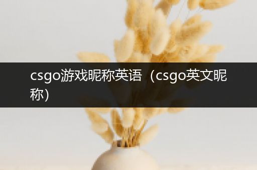 csgo游戏昵称英语（csgo英文昵称）