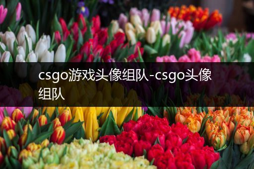 csgo游戏头像组队-csgo头像 组队