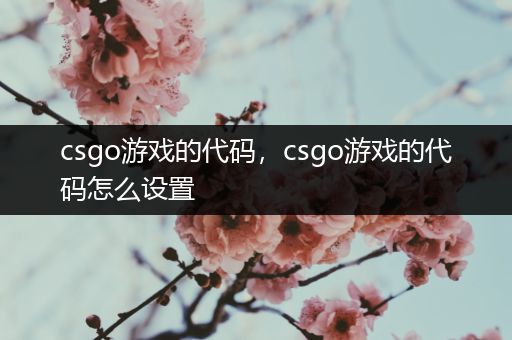 csgo游戏的代码，csgo游戏的代码怎么设置