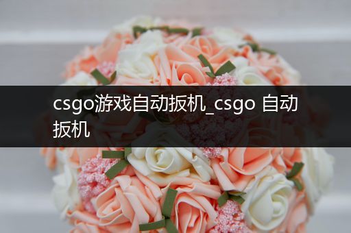 csgo游戏自动扳机_csgo 自动扳机