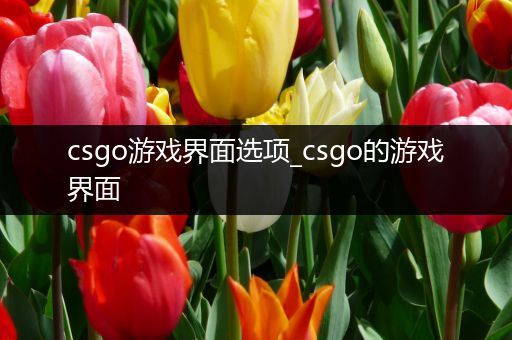 csgo游戏界面选项_csgo的游戏界面