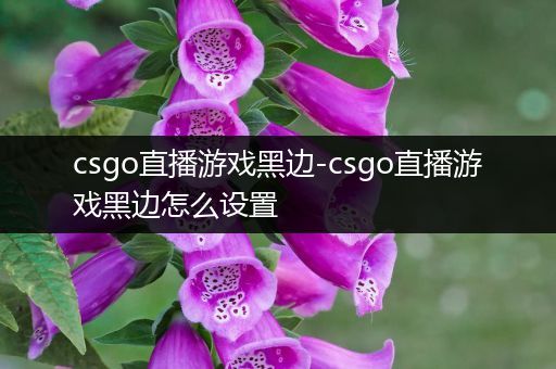 csgo直播游戏黑边-csgo直播游戏黑边怎么设置