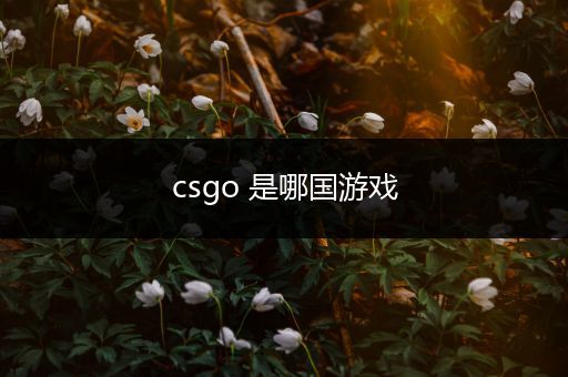 csgo 是哪国游戏