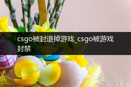 csgo被封退掉游戏_csgo被游戏封禁