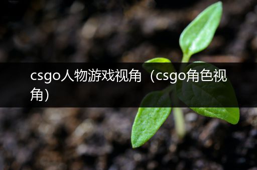 csgo人物游戏视角（csgo角色视角）