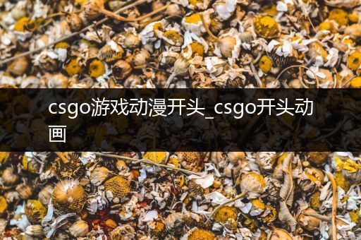 csgo游戏动漫开头_csgo开头动画