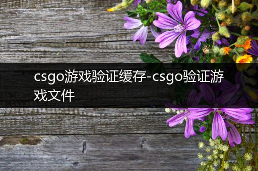 csgo游戏验证缓存-csgo验证游戏文件